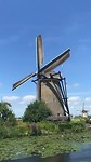 Wiekende molen in Kinderdijk