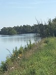 Biesbosch