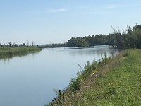 Biesbosch
