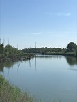Biesbosch