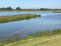 Biesbosch