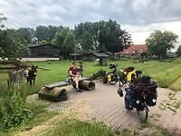 Boterhammen en ezels op weg naar Eindhoven