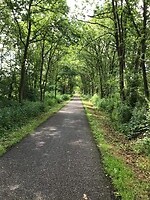 De groene route