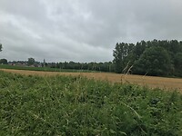Dreigende luchten