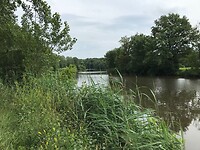 Blik op de Saone