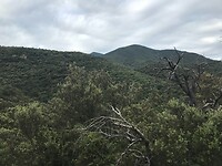 Las Illas