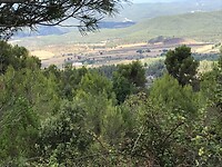 onderweg naar Manresa