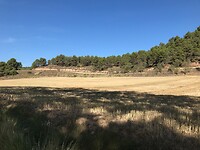 Spanje