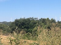 Windmolens, ook hier verguisd
