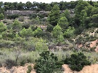 Onderweg naar Margalef