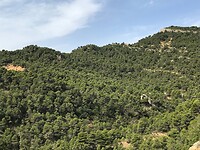 Parc de Montsant