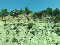 Aragon vanuit de taxi