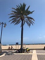 Onze fietsen op de boulevard van het Valenciaanse strand