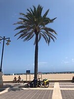 Onze fietsen op het strand van Valencia!