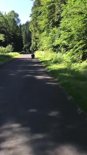 Rust in Frankrijk