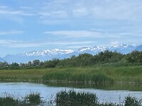 Besneeuwde bergen in de Alpen