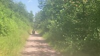 Kees op zelfde fietspad