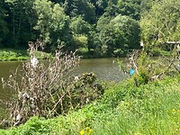 IMG_1347