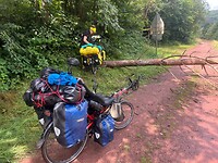 Nog maar weer eens boom over het fietspad
