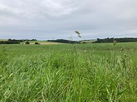 Weids in Duitsland
