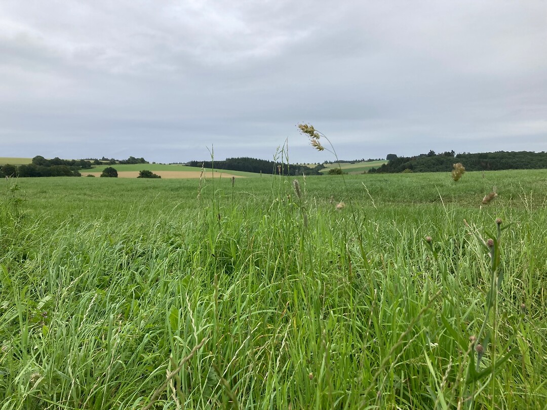 Weids in Duitsland