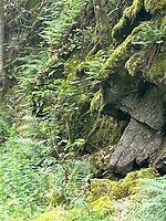 Nogmaals groen, groen, groen