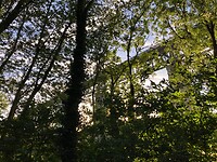 Spoorlijn