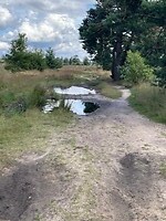 Toch een soort van mountainbiken