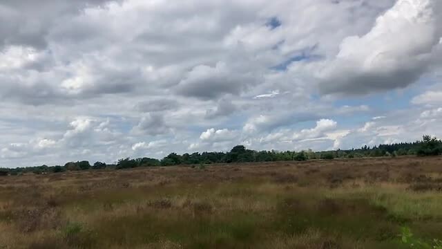 Concert van de Veldleeuwerik boven de Strabrechtse Heide