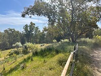 Mooie groene landschappen onderweg