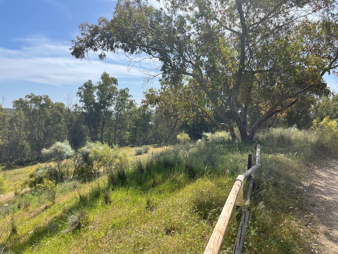 Mooie groene landschappen onderweg