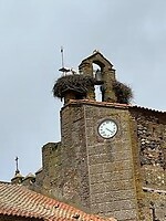 Kerktoren in Monesterio met klepperende ooievaars