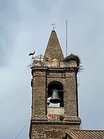 Andere kerktoren, zelfde kerk, nog een nest ooievaars