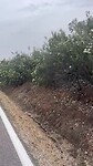 Roadmovie van Kees