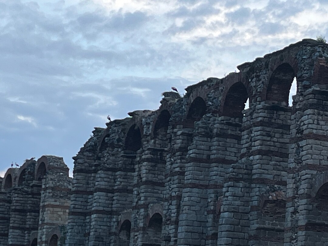 Talloze ooievaars bovenop het Aquaduct