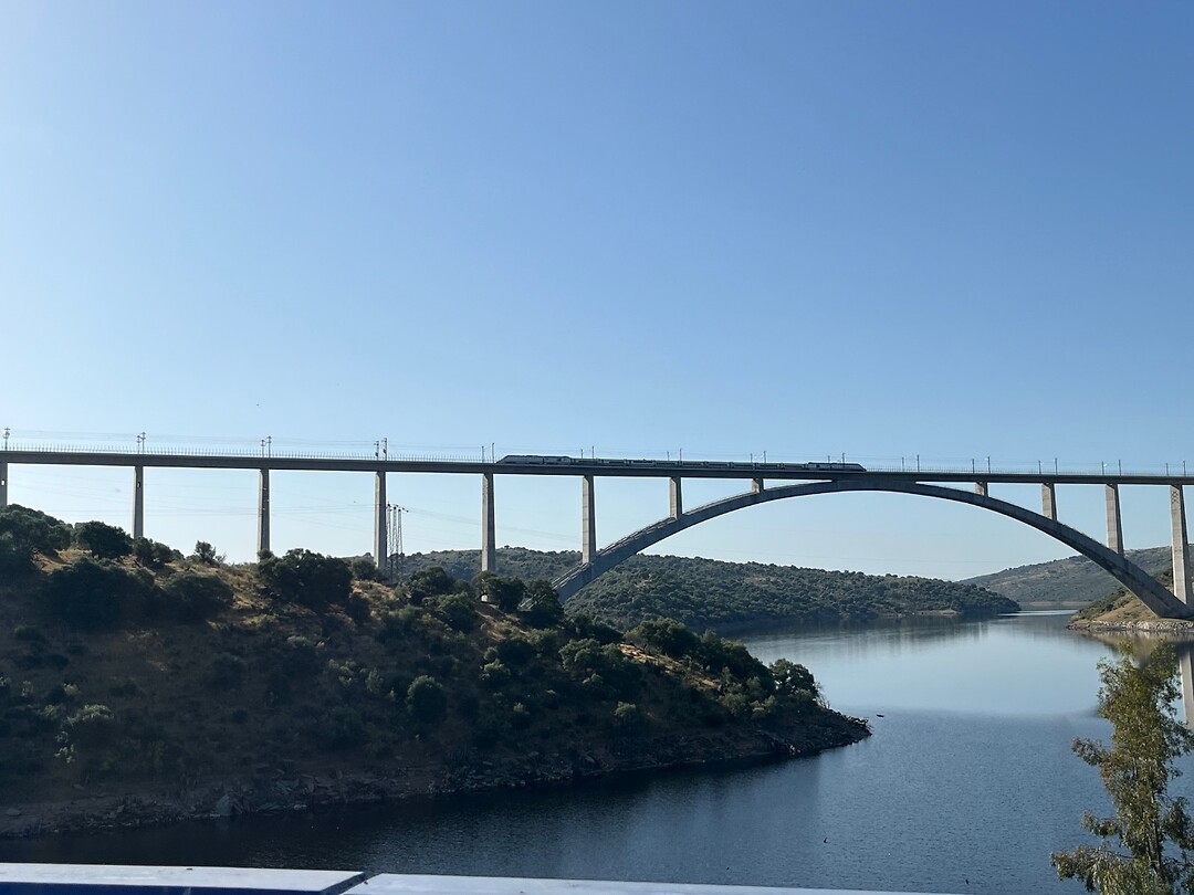 Brug met hoge snelheidstrein over de Rio Tajo