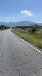 IMG_2726