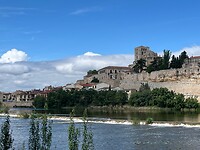 Zamora