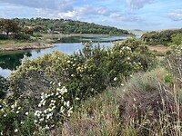 Embalse de Ricobayo