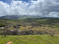 IMG_3332