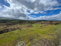 IMG_3334