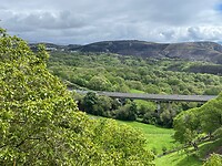 IMG_3338