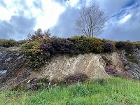 IMG_3340