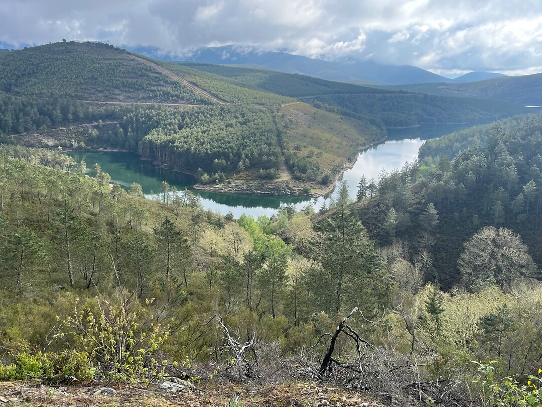 Rio Camba