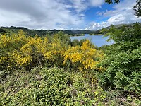Rio Miño
