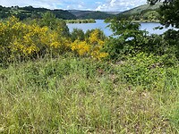 Rio Miño