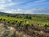 Wijngaarden onderweg bij Villafranca del Bierzo