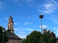 En ook in Castilië en Leon nog volop ooievaars