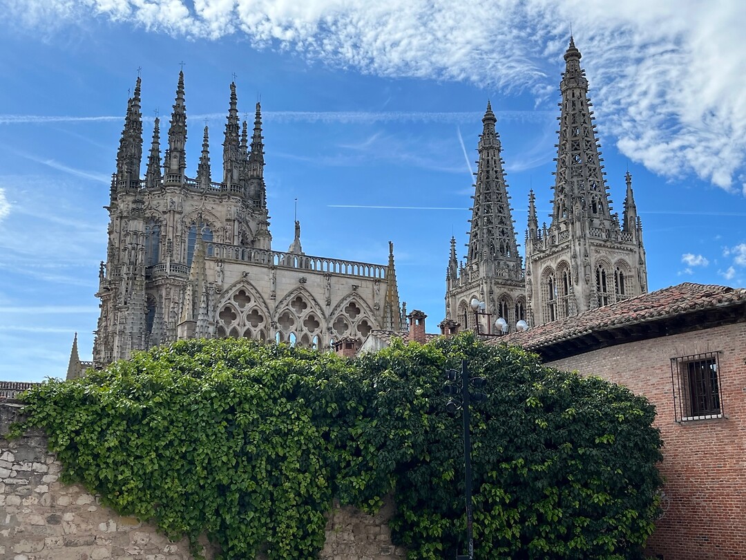 De torens van de Kathedraal