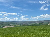 IMG_3635